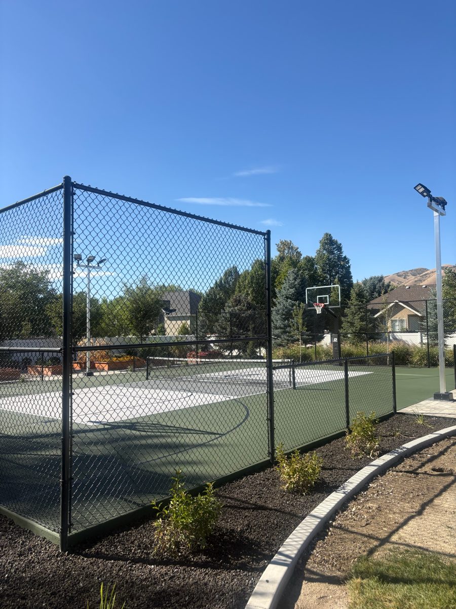Black chain-link fence enclosing the Lehi backyard court, with new landscaping along the outside
