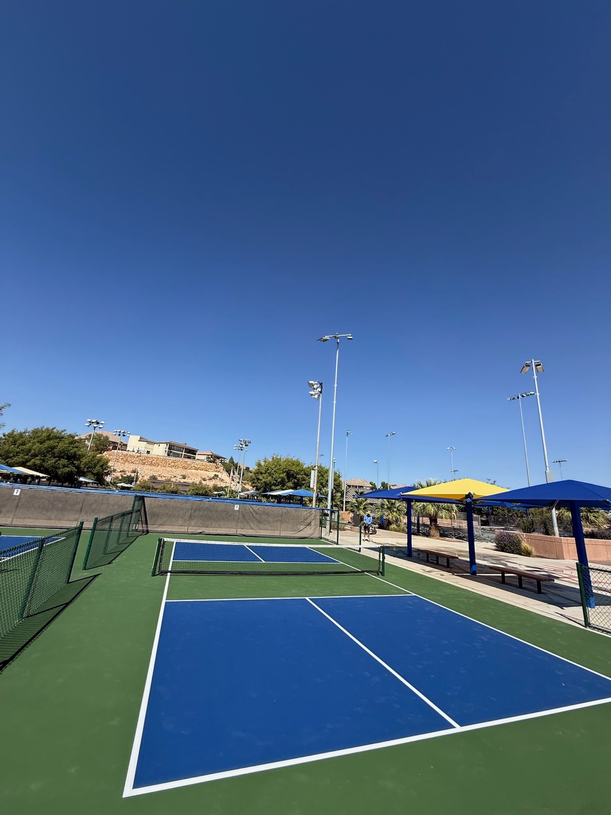 Backyard Court Project